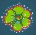 Silkdew Pitcher